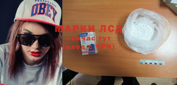 прущие грибы Новозыбков