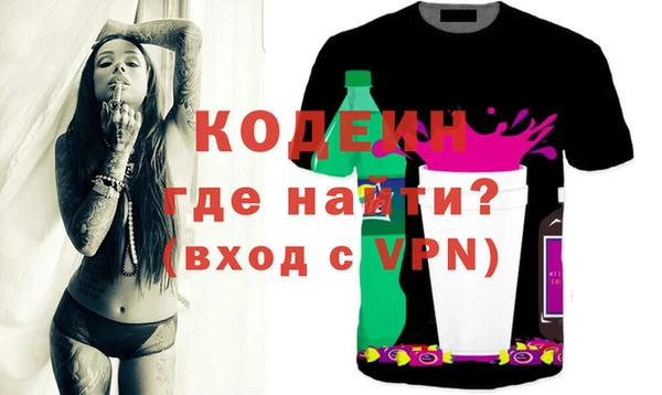 прущие грибы Новозыбков