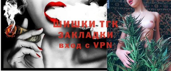 прущие грибы Новозыбков