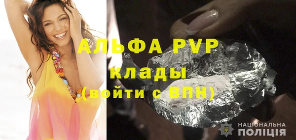 альфа пвп Новодвинск