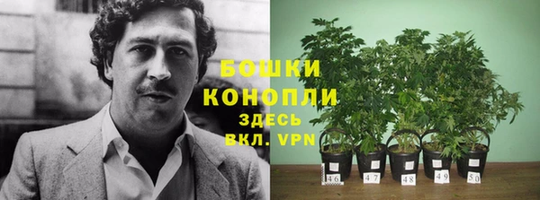 Альфа ПВП Нефтегорск