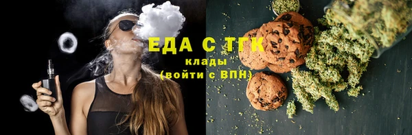 прущие грибы Новозыбков